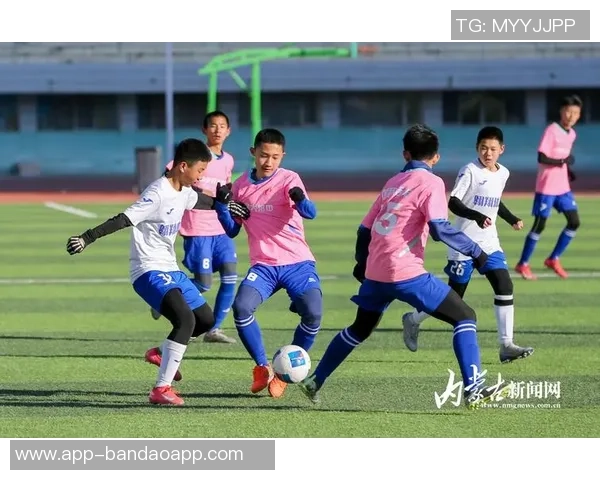 白沙湖足球的崛起与发展探讨：如何推动地方足球文化的繁荣与青少年参与