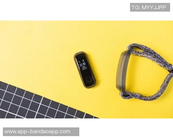 篮球腕带的功能与作用解析助你提升运动表现与保护手腕健康