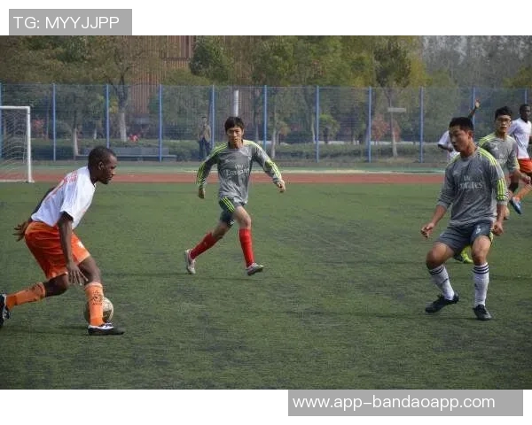 蛇口足球场：探寻这片绿茵场地背后的故事与激情